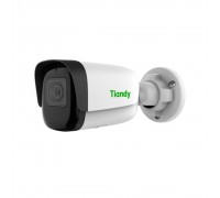 IP-видеокамера уличная Tiandy TC-C34WS Spec: I5/E/Y/4mm